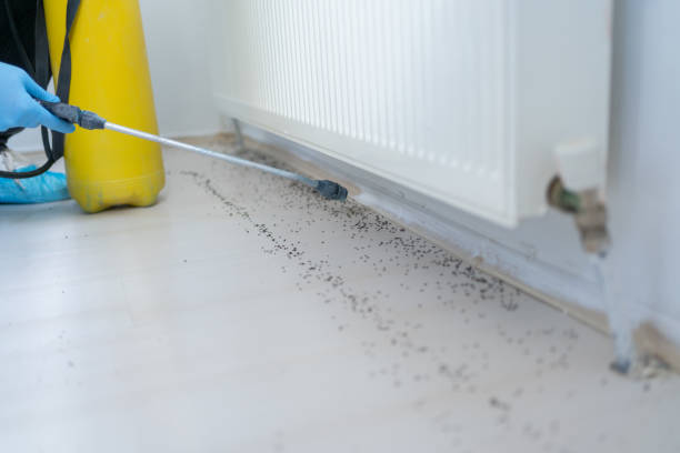 Best Pest Prevention Services  in Highland Park, MI